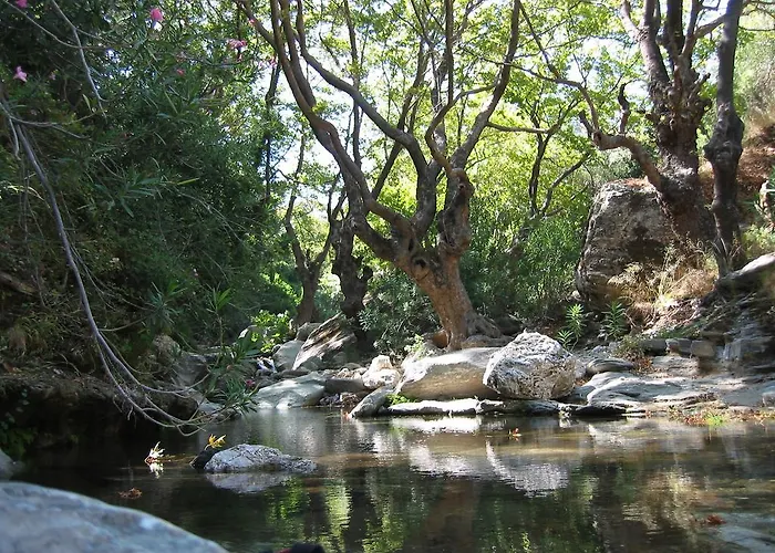 Bellevue Σπίτι διακοπών